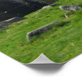 タトラルシノワメドウ ポスター (角)