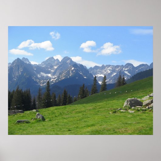 タトラルシノワメドウ ポスター (正面)