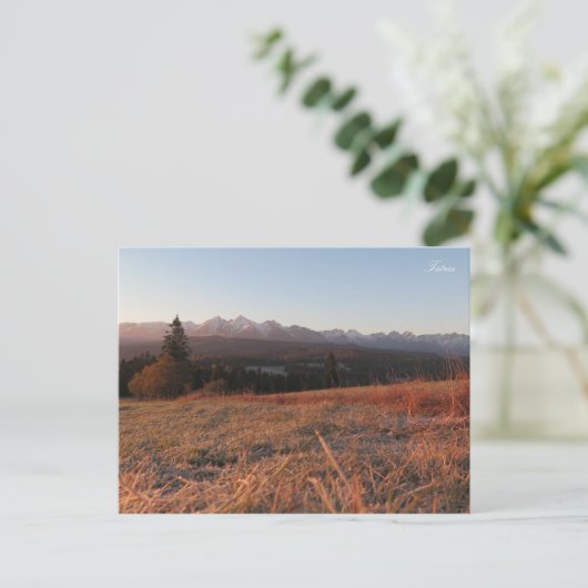 タトラ朝 ポストカード (スタンド正面)