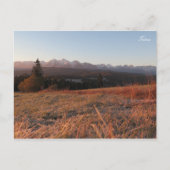 タトラ朝 ポストカード (正面)