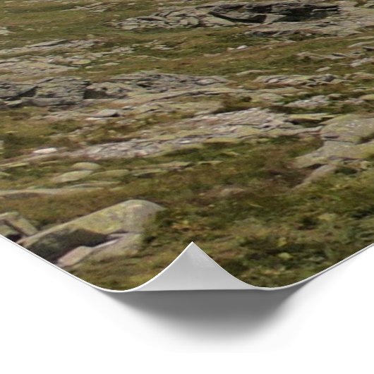 タトラ ポスター (角)