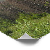 タトラ ポスター (角)