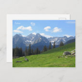 タトラ ポストカード (正面/裏面)