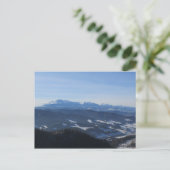 タトラ ポストカード (スタンド正面)