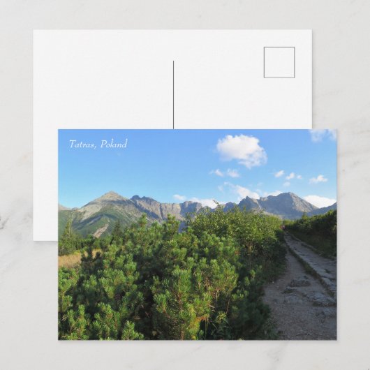 タトラ ポストカード (正面/裏面)