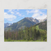 タトラ ポストカード (正面)