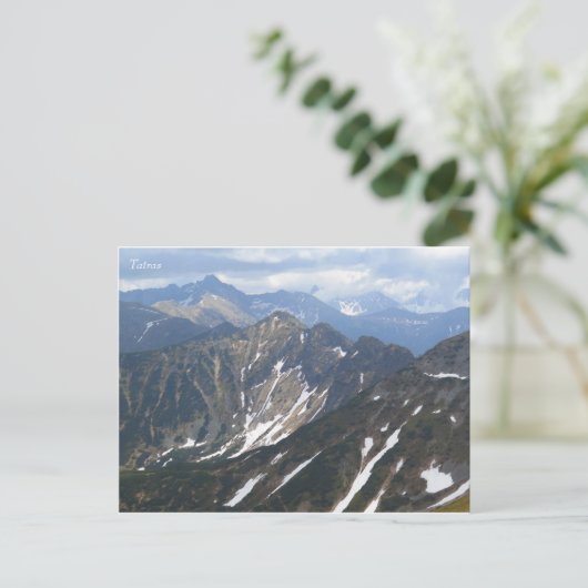 タトラ ポストカード (スタンド正面)