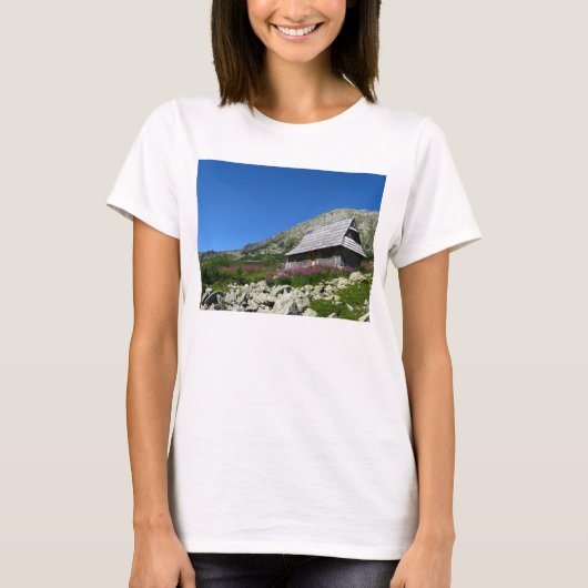 タトラTシャツ、五池谷の小屋 Tシャツ (正面)