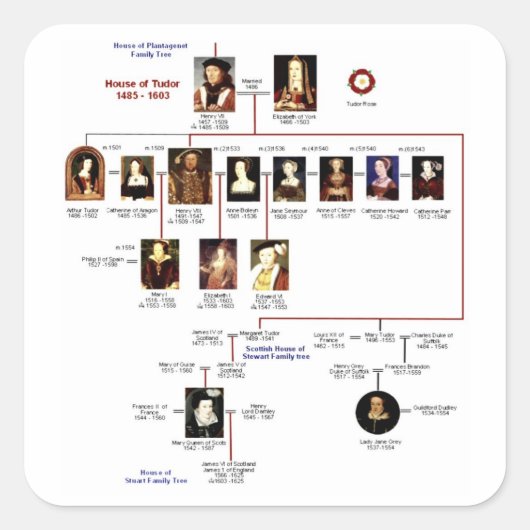 タドルステッカー スクエアシール (正面)