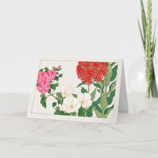 タニガミ湖南によるマロー、セントランサス カード (正面)