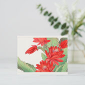 タニガミ湖南のイースターサボテン ポストカード (スタンド正面)