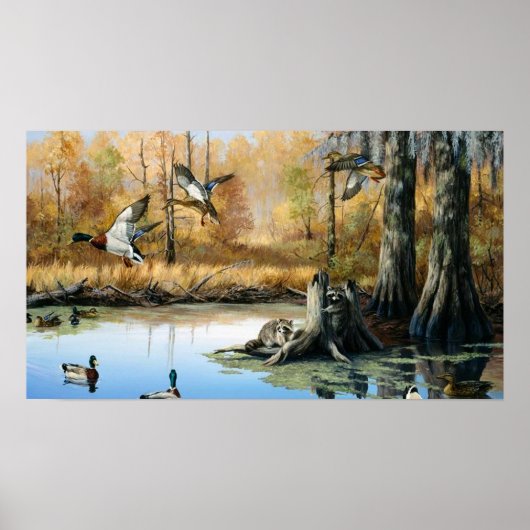 タヌキが鴨池に侵入する ポスター (正面)