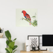 タヌキの上のオウム、竹のシュート ポスター (ホームオフィス)