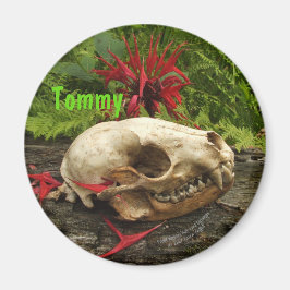 タヌキスカルの古い丸太にシダと赤いモナルダ マグネット