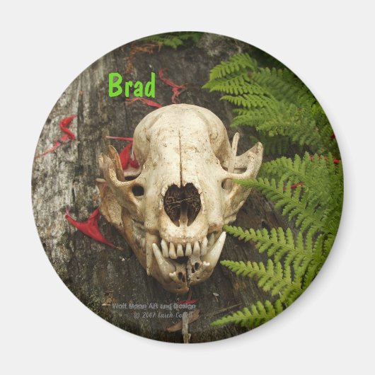 タヌキスカルの古い丸太にシダと赤いモナルダ マグネット (正面)