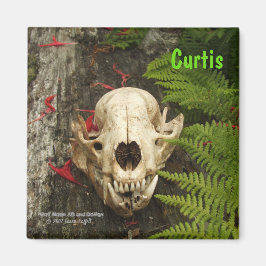 タヌキスカルの古い丸太にシダと赤いモナルダ マグネット