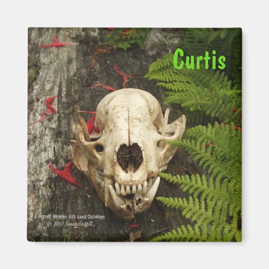 タヌキスカルの古い丸太にシダと赤いモナルダ マグネット (正面)