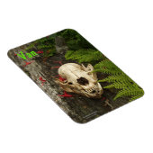 タヌキスカルの古い丸太にシダと赤いモナルダ マグネット (右側)