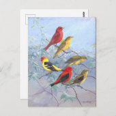 タネガーヴィンテージ ポストカード (正面/裏面)