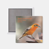 タネガー磁石 マグネット (正面/裏面)