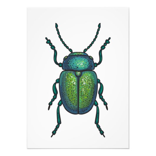 タネコミムシ フォトプリント            (正面)