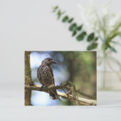 タネンヘア ポストカード (スタンド正面)