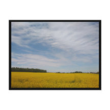 タノウスキーゴリー（ポーランド）