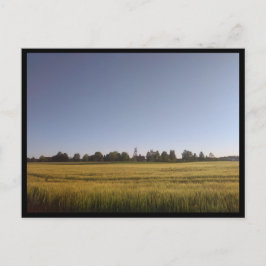 タノウスキーゴリー（ポーランド） ポストカード