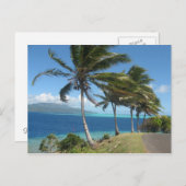 タハアタヒチ島のヤシの木 ポストカード (正面/裏面)