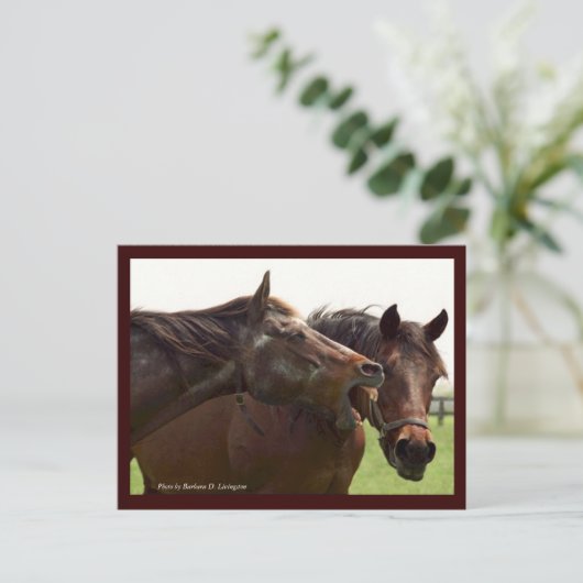 タバはがき恋しく思でぼくの不安 ポストカード (スタンド正面)