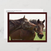 タバはがき恋しく思でぼくの不安 ポストカード (正面/裏面)