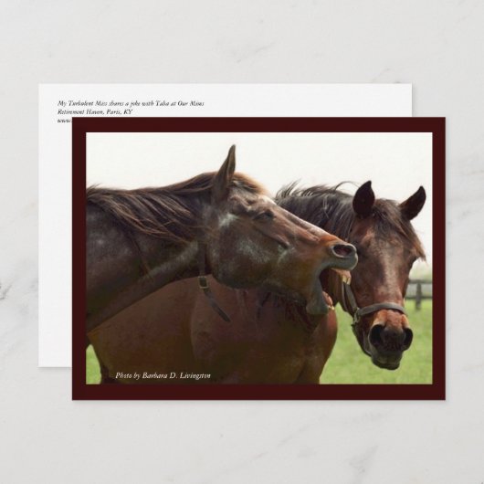 タバはがき恋しく思でぼくの不安 ポストカード (正面/裏面)