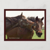 タバはがき恋しく思でぼくの不安 ポストカード (正面)