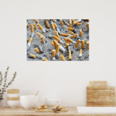 タバコのアウトドア灰皿 ポスター (キッチン)