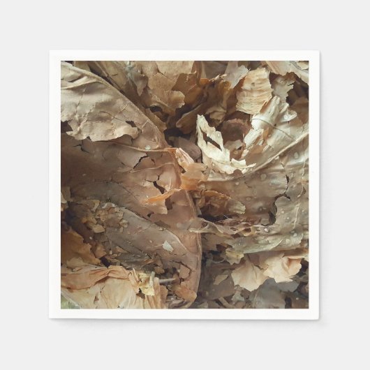 タバコの葉のシガーバー＆ラウンジ スタンダードカクテルナプキン (正面)