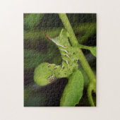 タバコのHornwormの幼虫のトマトの木のパズル ジグソーパズル (縦)