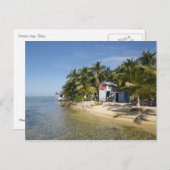 タバコカイベリーズ ポストカード (正面/裏面)