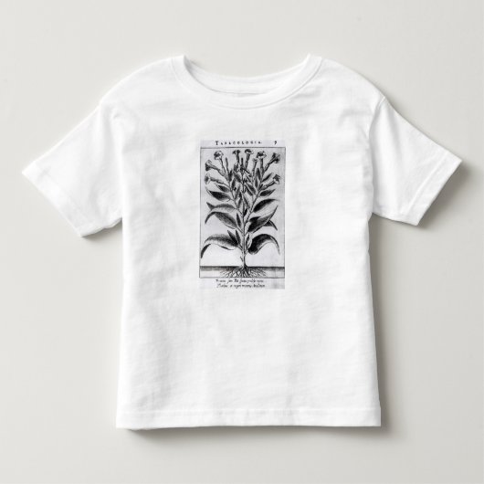 タバコ植物1622年 トドラーTシャツ (正面)