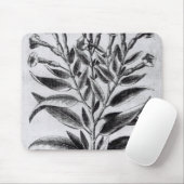 タバコ植物1622年 マウスパッド (マウス)