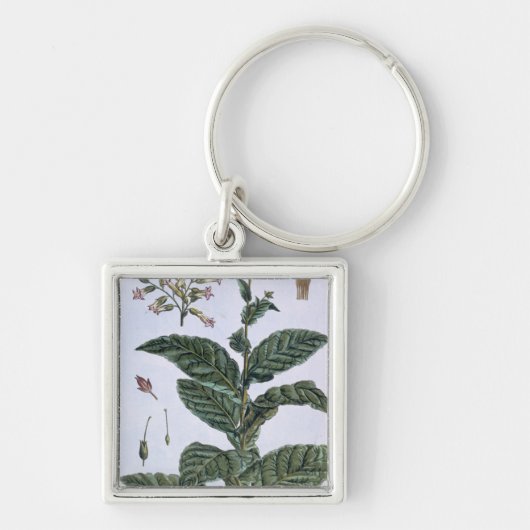 タバコ植物、「コレクションPrecieuseからのプレート7、 キーホルダー (正面)