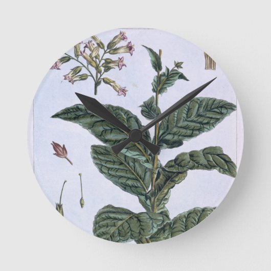タバコ植物、「コレクションPrecieuseからのプレート7、 ラウンド壁時計 (正面)
