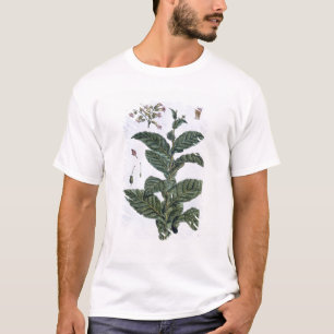タバコ植物、「コレクションPrecieuseからのプレート7、 Tシャツ