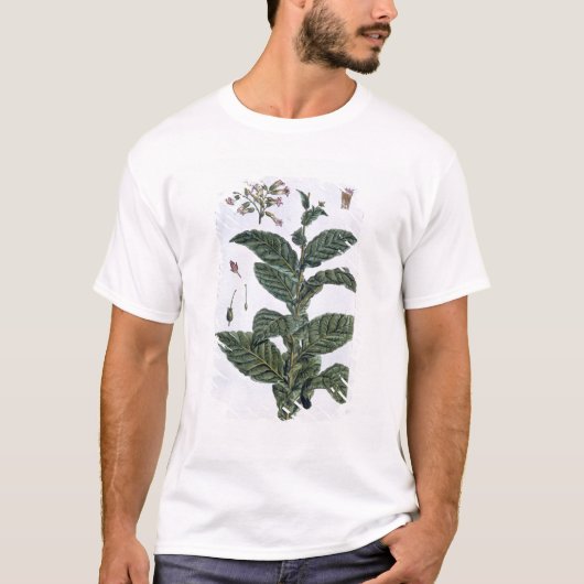 タバコ植物、「コレクションPrecieuseからのプレート7、 Tシャツ (正面)