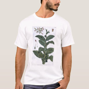 タバコ植物、「コレクションPrecieuseからのプレート7、 Tシャツ