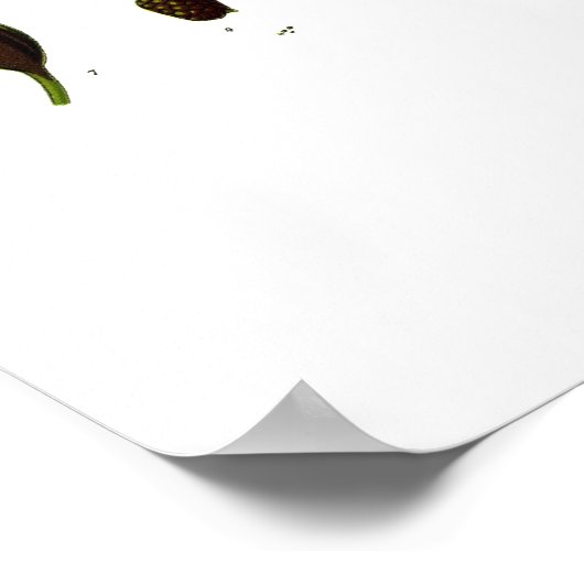 タバコ ポスター (角)