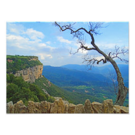 タバーチマウンテンビュー フォトプリント           