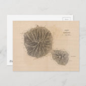 タヒチの古地図 (1845) ポストカード (正面/裏面)