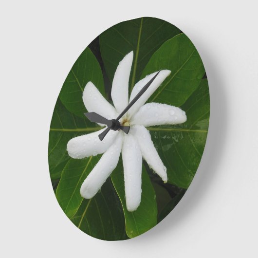 タヒチアンガーデニア ラージ壁時計 (傾斜)