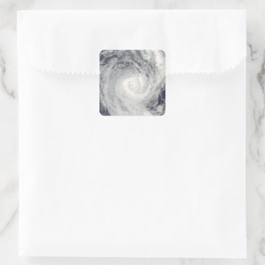 タヒチ沖の熱帯低気圧オリ スクエアシール (バッグ)