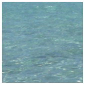 タヒチ青い熱帯水生地 ファブリック (クローズアップ)